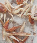 Hình ảnh: Cung cấp thịt cua ghẹ InoFood Vina chi nhánh Phú Mỹ Hưng Quận 7
