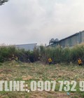 Hình ảnh: Dịch Vụ Cắt Cỏ, Phát Hoang Dự Án Công Trình