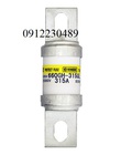 Hình ảnh: Cầu chì hinode 660GH 315SUL