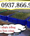 Hình ảnh: Thùng nhựa đựng thực phẩm, khay nhựa màu xanh cao 10, khay nhựa đựng thực phẩm, khay đựng linh kiện