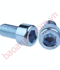 Hình ảnh: Bu lông lục giác chìm đầu trụ BAA hc wz series