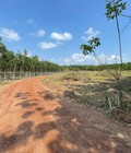 Hình ảnh: Cần bán lô đất tại Bình Long