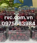Hình ảnh: Hộp nhựa trái cây có lỗ bảo quản cherry hiệu quả