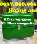 Hình ảnh: Giá thùng chở hàng nhựa composite, thùng giao hàng sau xe máy, thùng chở hàng