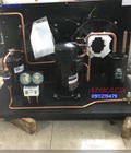 Hình ảnh: Lên hoàn thiện cụm máy nén copeland 12hp ZR144KC