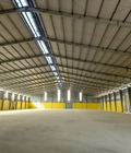 Hình ảnh: Cho thuê kho chứa hàng 3.000m2 Trần Đại Nghĩa, Bình Chánh