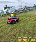 Hình ảnh: Dịch vụ cắt cỏ hoang, phát cỏ dại 