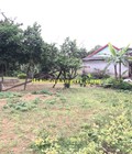 Hình ảnh: Bán lô đất lô đất giá rẻ tại Thanh An, Cam Lộ