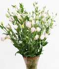 Hình ảnh: Lọ hoa pha lê Pháp