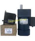 Hình ảnh: Động cơ JSCC 90YT60GV22 Cty Thiết Bị Điện Số 1