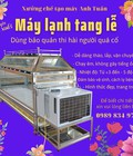 Hình ảnh: Máy lạnh phục vụ tang lễ, áo quan lạnh có kính, quan tài lạnh có kính