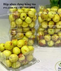 Hình ảnh: Công ty phân phối hộp nhựa P500D cho siêu thị, cửa hàng trái cây