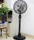 Hình ảnh: Chiếc quạt cây Taifun của Đức