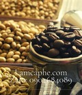 Hình ảnh: Mua cà phê mộc Hồ Chí Minh giá sỉ trực tiếp từ công ty sản xuất 1 năm không đổi giá