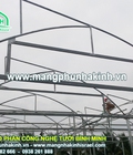 Hình ảnh: Màng nhà kính phơi gạch,hiệu quả phơi gạch trong nhà màng