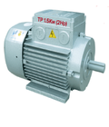 Hình ảnh: Động cơ điện Motor Toàn phát 2 HP 1.5 KW 2900 vòng