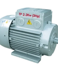 Hình ảnh: Động cơ điện Motor Toàn phát 3 HP 2.2 KW 2900v