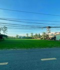 Hình ảnh: Đất lúa mặt tiền đường Bờ Mồi, 24x55m xã Phước Tuy, Cần Đước