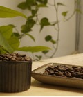 Hình ảnh: Bán cà phê mộc tại Hà Nội giá tốt chỉ còn 85 ngàn đồng 1kg