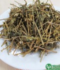 Hình ảnh: Cà gai leo giúp điều trị các bệnh về gan hiệu quả được bán ở đâu tại HCM