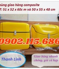 Hình ảnh: Thùng chở hàng composite, thùng giao hàng, thùng ship hàng loại trung, thùng chở hàng sau xe máy, thùng giao hàng thực p