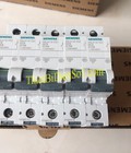 Hình ảnh: MCB Siemens 5SL4110 7CC Cty Thiết Bị Điện Số 1