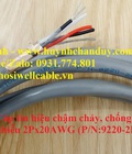 Hình ảnh: Cáp tín hiệu chống nhiễu 2Pair 20AWG