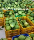 Hình ảnh: Sóng nhựa 3t9 đựng nông sản sọt nhựa hở đựng trái cây khay nhựa 3t9 thùng nhựa rỗng 3t9.