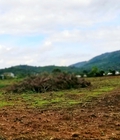 Hình ảnh: Chính chủ bán 22,5m đất mặt tiền đường lớn Đinh Công Tráng, Lộc Châu,Bảo Lộc ,1347m2