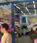 Hình ảnh: Cần tiền bán gấp Kiot vừa ở vừa kinh doanh View Bể Bơi cực đẹp, chỉ từ 2 tỷ