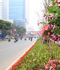 Hình ảnh: Bán gấp mặt phố Vũ Lăng 130m, mặt tiền 10m, 5 tầng, vỉa hè 5m, đường đôi 27m, gần Nhà Thi đấu