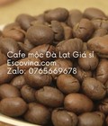 Hình ảnh: Escovina cofffee cung ứng sỉ số lượng cà phê mộc Đà Lạt Buôn Mê Thuột ổn định không áp doanh số dù chỉ 1kg