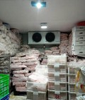 Hình ảnh: Thi công kho lạnh bảo quản gà đông lạnh