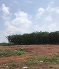 Hình ảnh: Bán đất Bình Phước Phú Riềng 1000m2