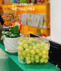 Hình ảnh: Mẫu hộp nhựa trái cây 1kg P1000B giá sỉ tại Sài Gòn