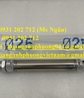 Hình ảnh: DSNU 25 100 PPV A Xy lanh tròn Festo chính hãng