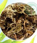 Hình ảnh: Nơi bán bồ công anh trị tắc tia sữa tại HCM