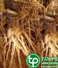 Hình ảnh: Địa Chỉ Bán Rễ Bồ Công Anh Tại HCM