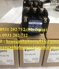 Hình ảnh: CLK 26J P6 Contactor Togami chính hãng