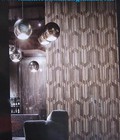 Hình ảnh: Patterned carpet, giấy dán tường hoa văn