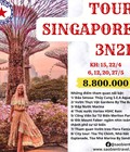Hình ảnh: Tour Singapore 3 ngày 2 đêm