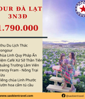 Hình ảnh: Tour du lịch Đà Lạt 3 ngày 3 đêm