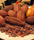 Hình ảnh: Hạt cacao lên men sấy khô