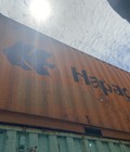 Hình ảnh: Cont khô 20DC hàng chuẩn hãng tàu Quốc tế