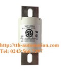 Hình ảnh: Cầu chì bussmann FWP 300A