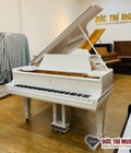 Hình ảnh: Grand piano hay Upright piano nên mua đàn piano cơ loại nào