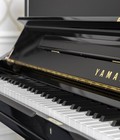Hình ảnh: Những điều cần biết về Yamaha U series U1 và U3