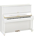 Hình ảnh: Những điều cần biết về Yamaha U series U1 và U3