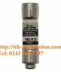 Hình ảnh: Cầu chì bussmann FNQ R 25