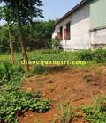 Hình ảnh: Bán đất Gio Linh 8x33 full đất ở
